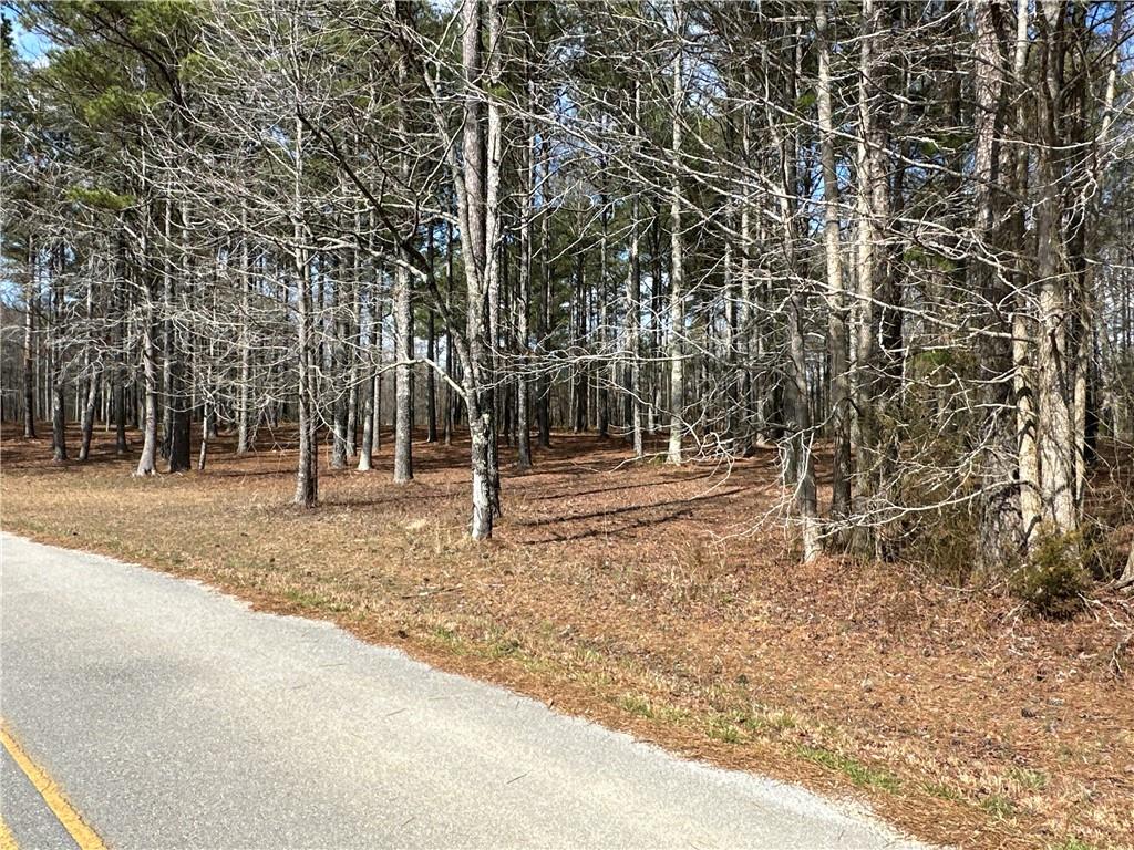 265 Evans Drive Buchanan, GA 30113 - Photo 109 of 123