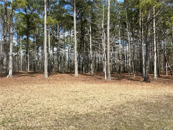 $651,000 | 265 Evans Drive, Buchanan, GA 30113