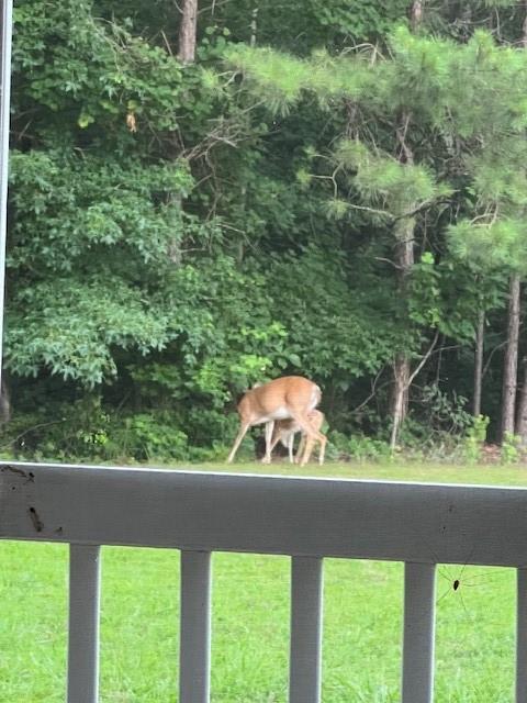 265 Evans Drive Buchanan, GA 30113 - Photo 118 of 123