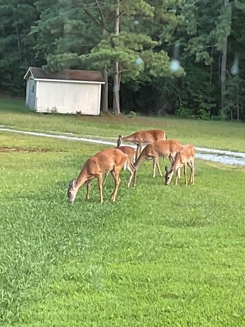 265 Evans Drive Buchanan, GA 30113 - Photo 121 of 123