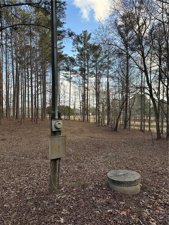 265 Evans Drive Buchanan, GA 30113 - Photo 123 of 123