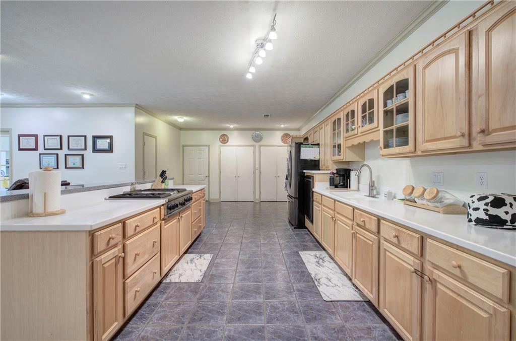 265 Evans Drive Buchanan, GA 30113 - Photo 17 of 123 a large kitchen with stainless steel appliances granite countertop a lot of counter space and wooden floors
