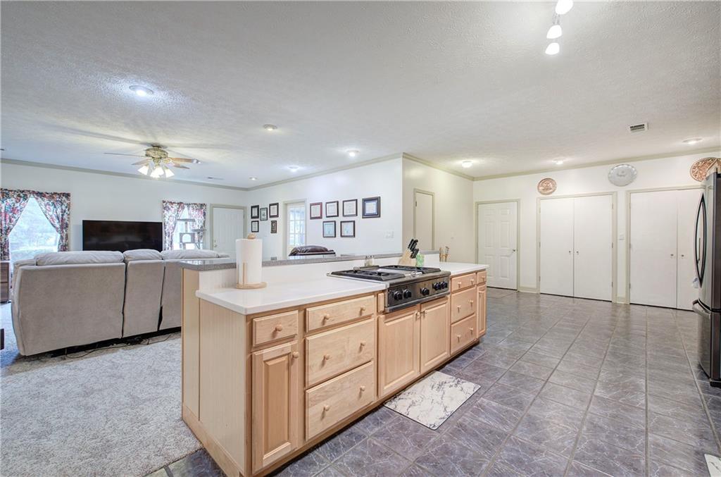 265 Evans Drive Buchanan, GA 30113 - Photo 18 of 123