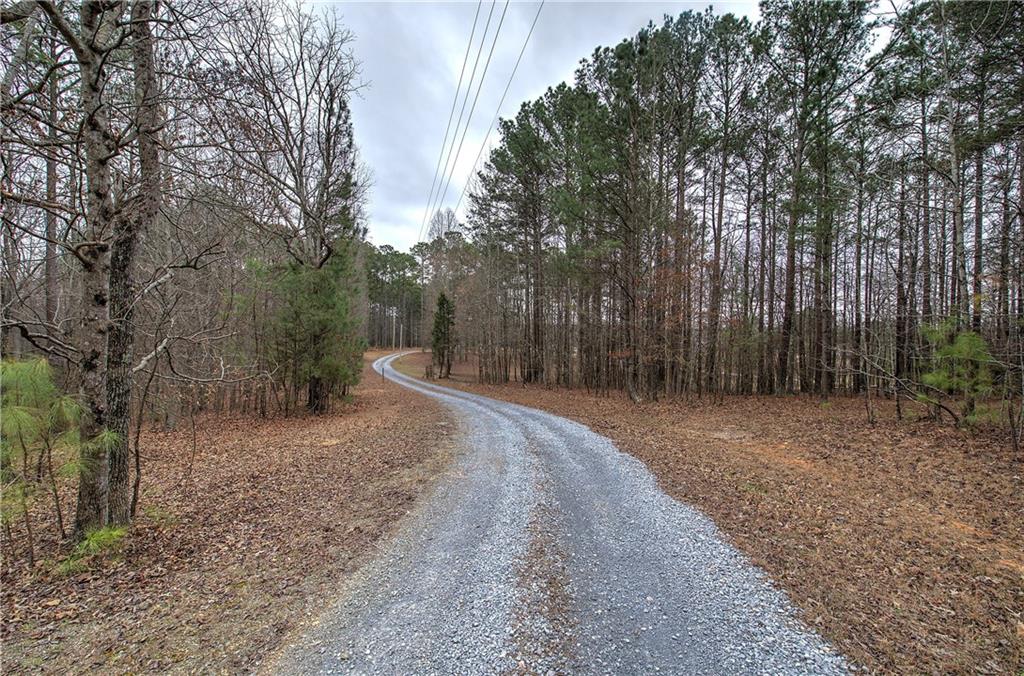 265 Evans Drive Buchanan, GA 30113 - Photo 3 of 123 a view of a backyard with large trees