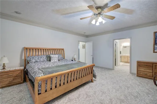 a view of a dry yard with wooden fence