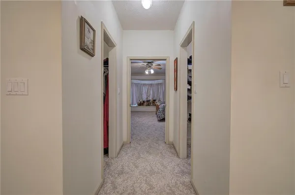 a view of a park with tree s