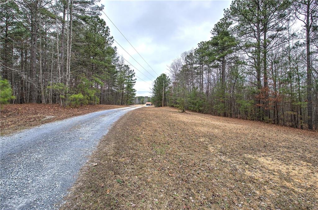 265 Evans Drive Buchanan, GA 30113 - Photo 4 of 123