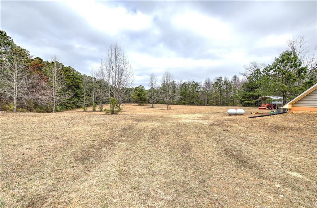 265 Evans Drive Buchanan, GA 30113 - Photo 46 of 123