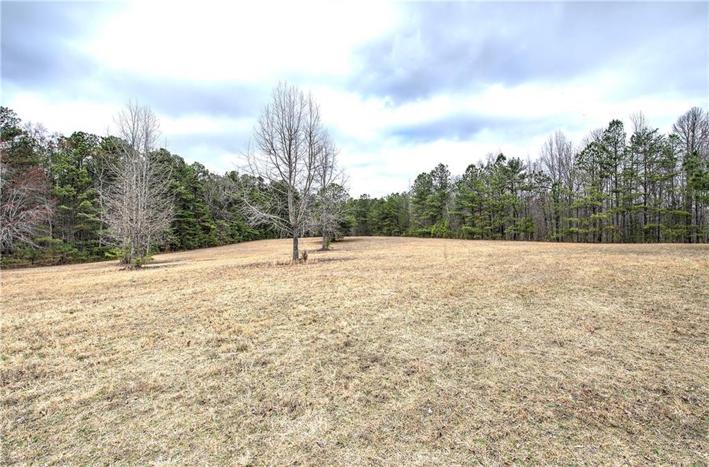 265 Evans Drive Buchanan, GA 30113 - Photo 49 of 123