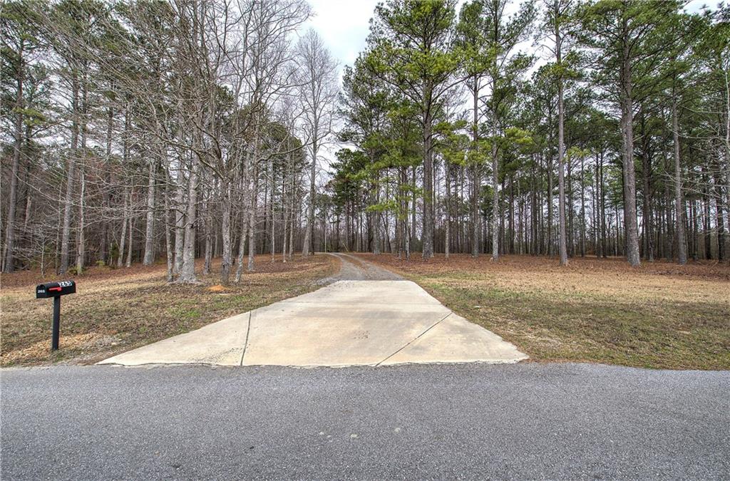 265 Evans Drive Buchanan, GA 30113 - Photo 5 of 123