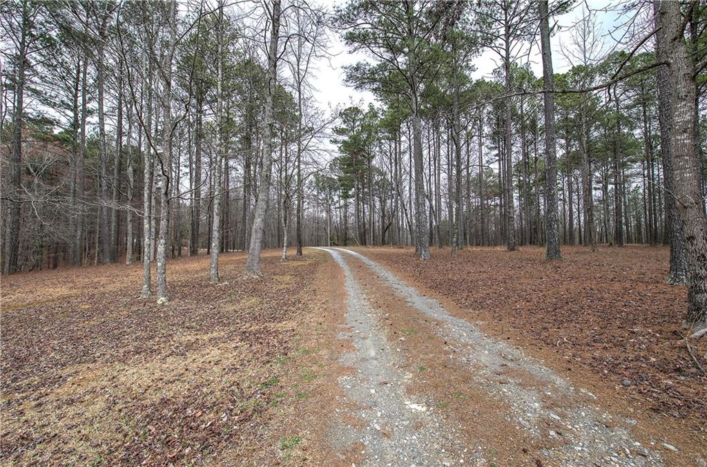 265 Evans Drive Buchanan, GA 30113 - Photo 6 of 123