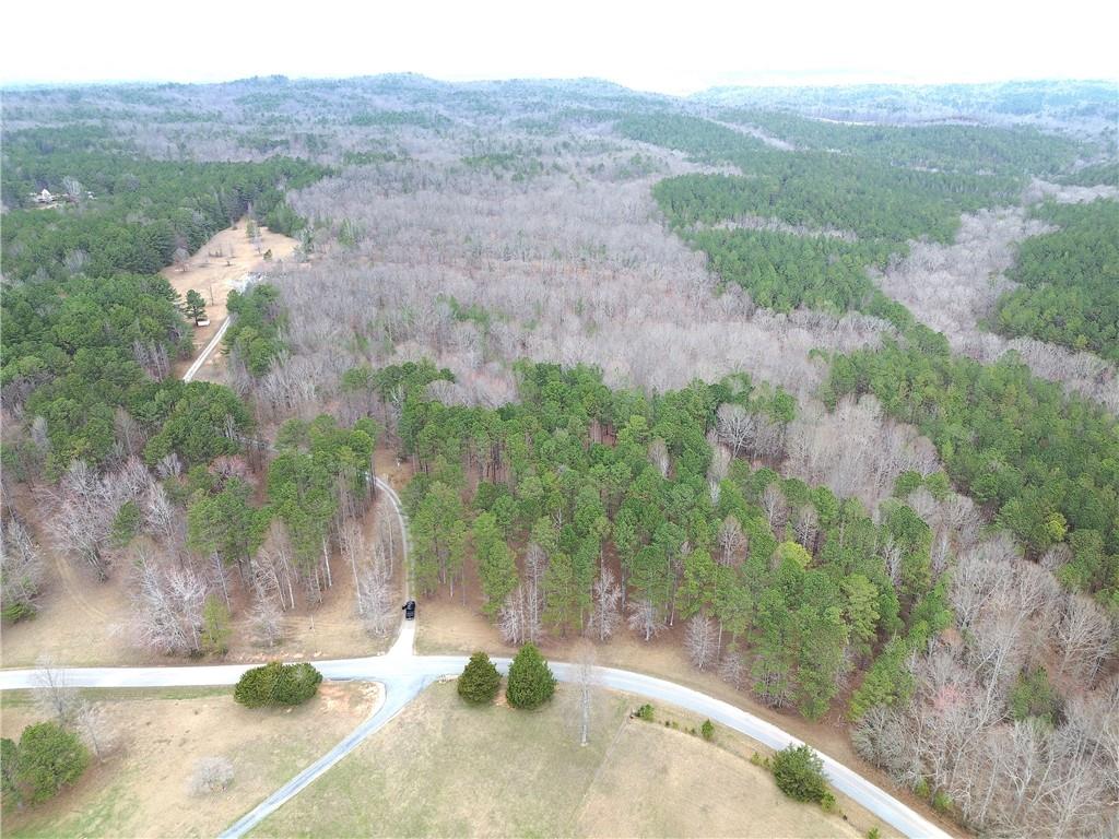 265 Evans Drive Buchanan, GA 30113 - Photo 61 of 123 a view of a yard with a tree