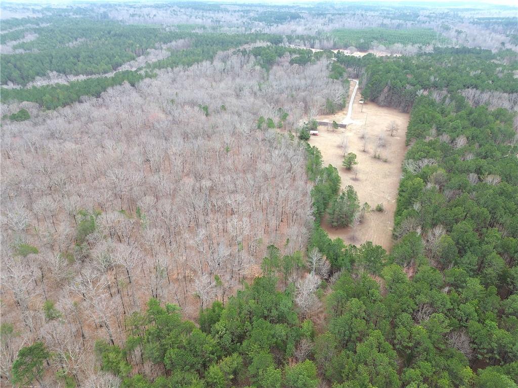 265 Evans Drive Buchanan, GA 30113 - Photo 64 of 123