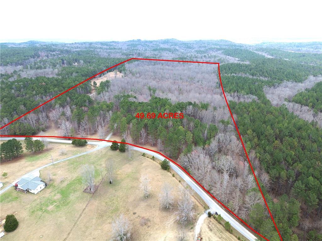 265 Evans Drive Buchanan, GA 30113 - Photo 66 of 123