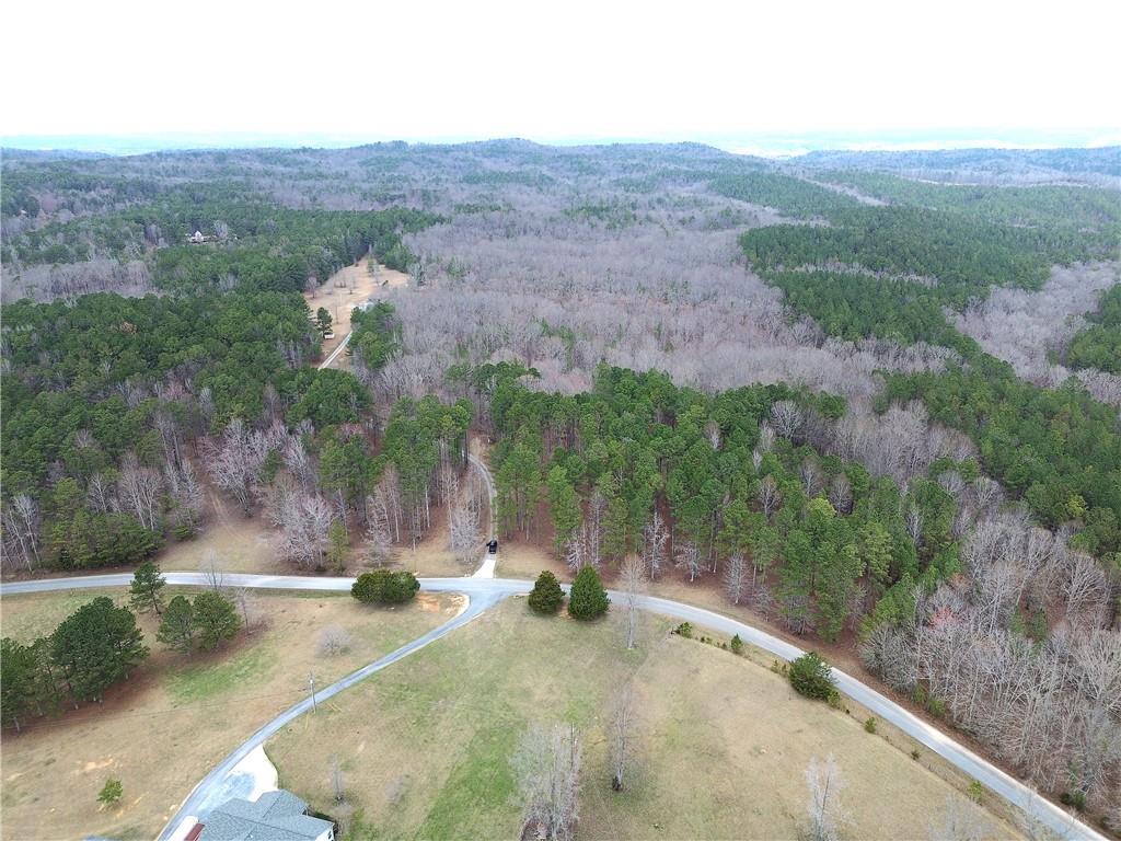 265 Evans Drive Buchanan, GA 30113 - Photo 67 of 123 an aerial view of a house with a yard