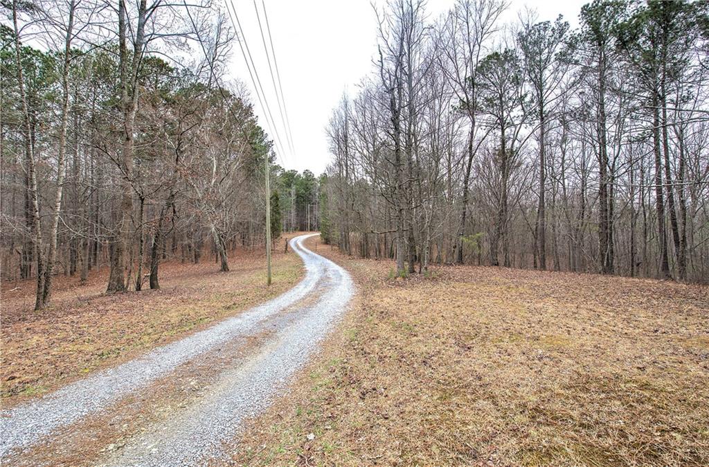 265 Evans Drive Buchanan, GA 30113 - Photo 7 of 123 a view of a backyard of the house