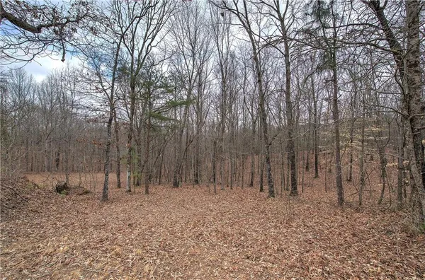 $651,000 | 265 Evans Drive, Buchanan, GA 30113