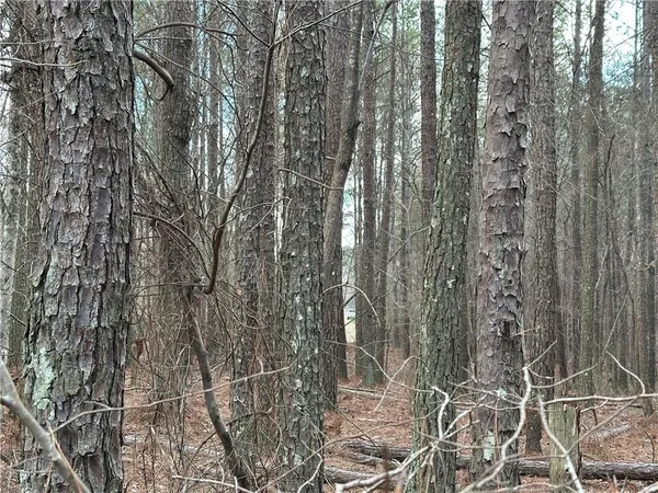 $651,000 | 265 Evans Drive, Buchanan, GA 30113