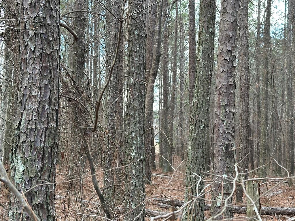 265 Evans Drive Buchanan, GA 30113 - Photo 73 of 123