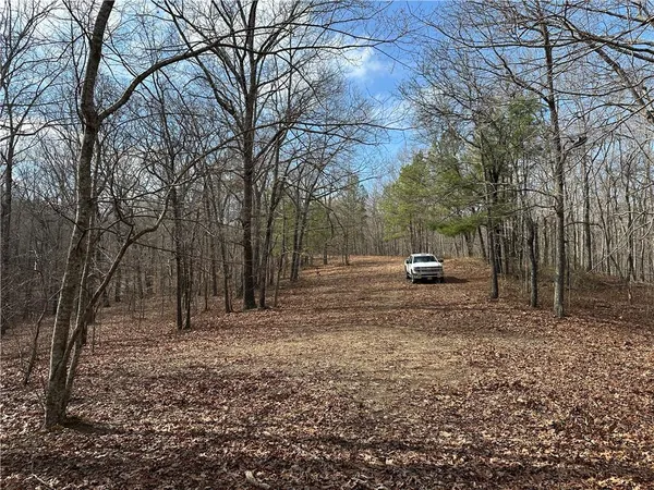 $651,000 | 265 Evans Drive, Buchanan, GA 30113