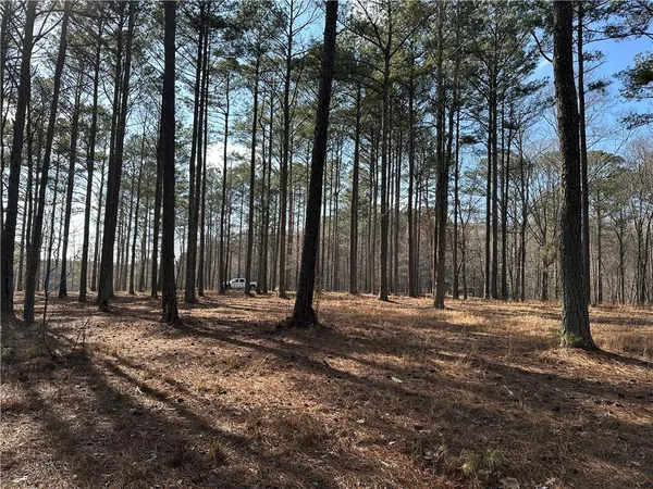 $651,000 | 265 Evans Drive, Buchanan, GA 30113