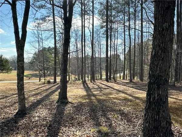 $651,000 | 265 Evans Drive, Buchanan, GA 30113