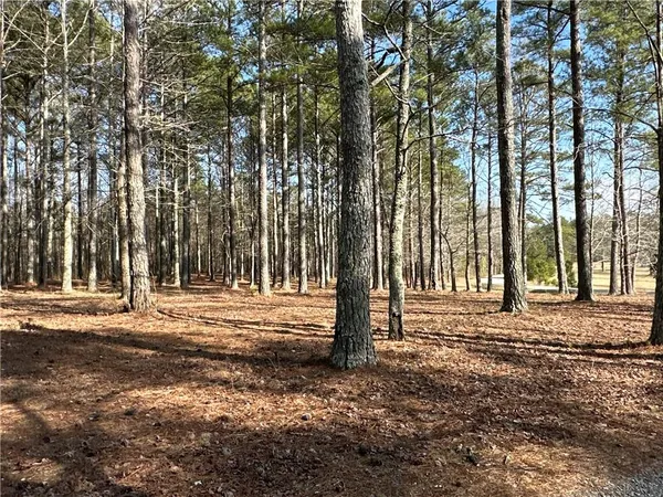 $651,000 | 265 Evans Drive, Buchanan, GA 30113