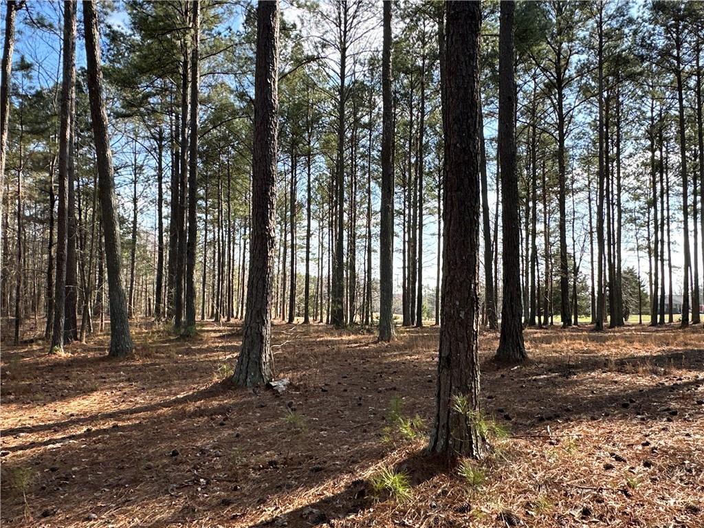 265 Evans Drive Buchanan, GA 30113 - Photo 80 of 123 a view of a park with tree s