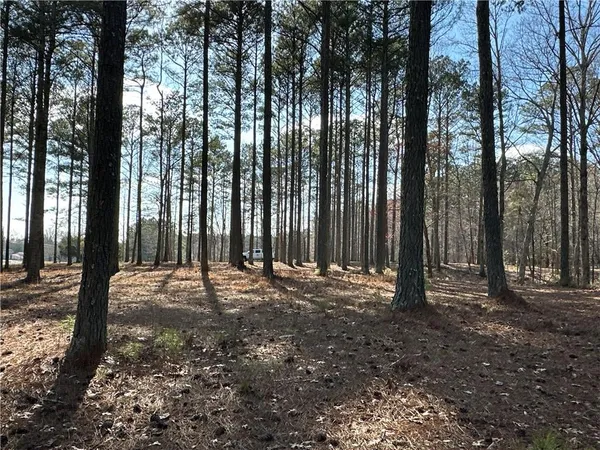 $651,000 | 265 Evans Drive, Buchanan, GA 30113