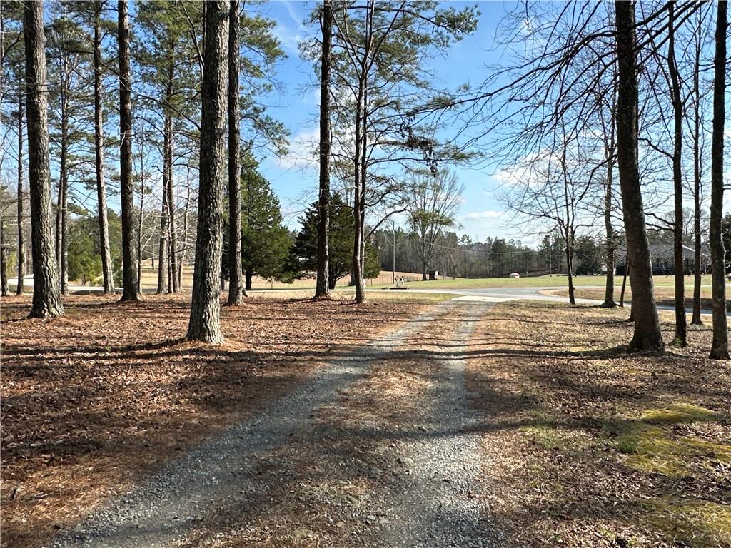 265 Evans Drive Buchanan, GA 30113 - Photo 83 of 123