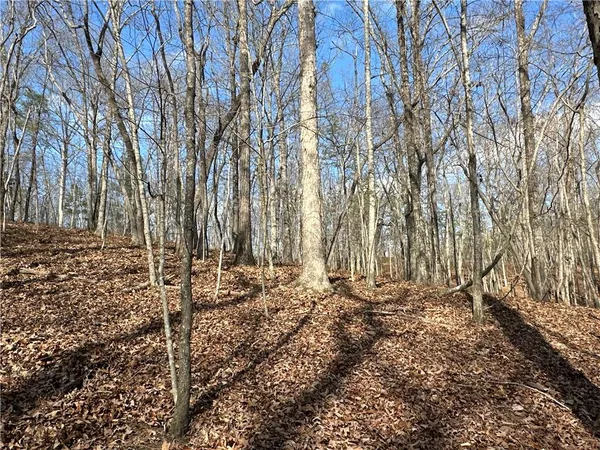 $651,000 | 265 Evans Drive, Buchanan, GA 30113