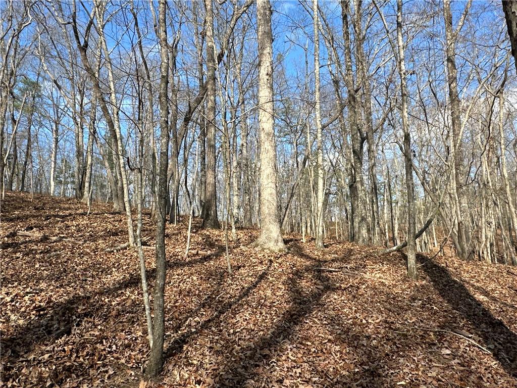 265 Evans Drive Buchanan, GA 30113 - Photo 86 of 123