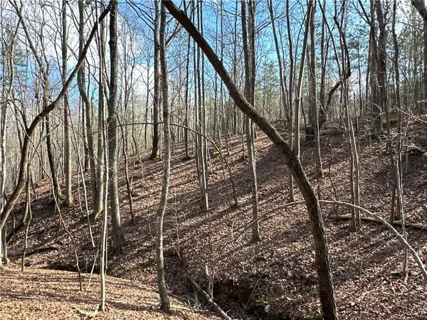 $651,000 | 265 Evans Drive, Buchanan, GA 30113