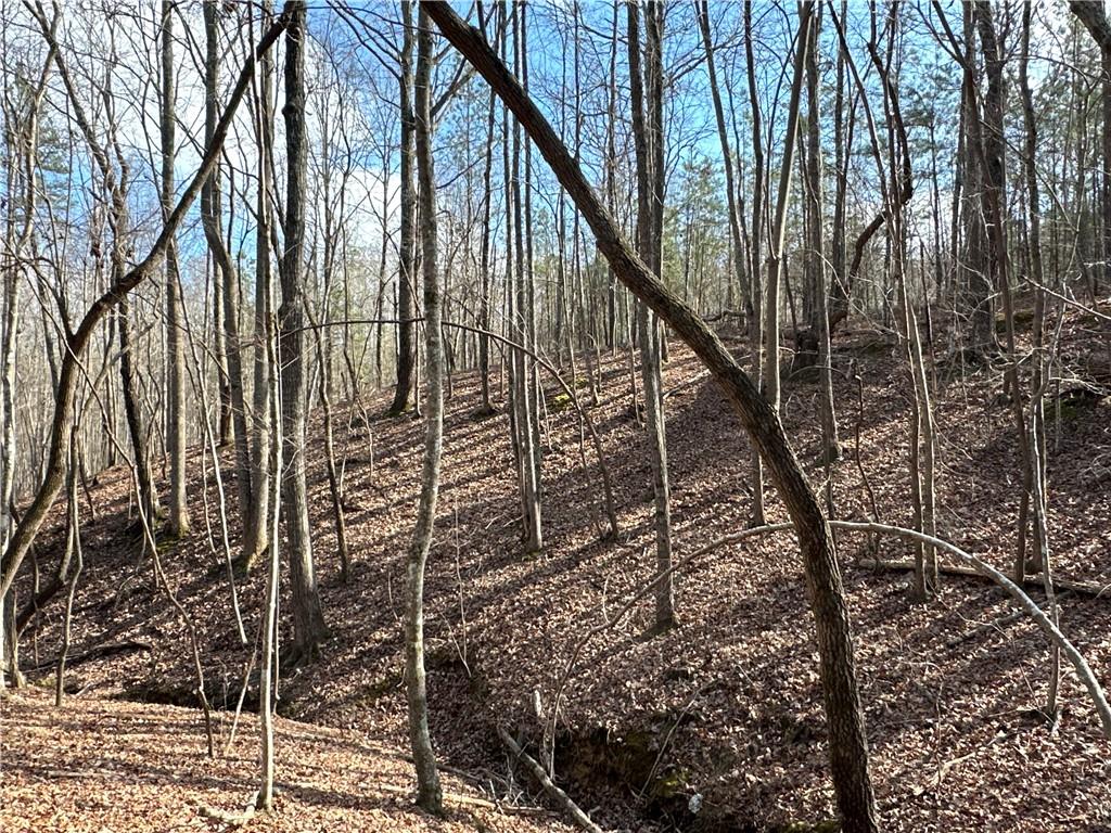 265 Evans Drive Buchanan, GA 30113 - Photo 87 of 123