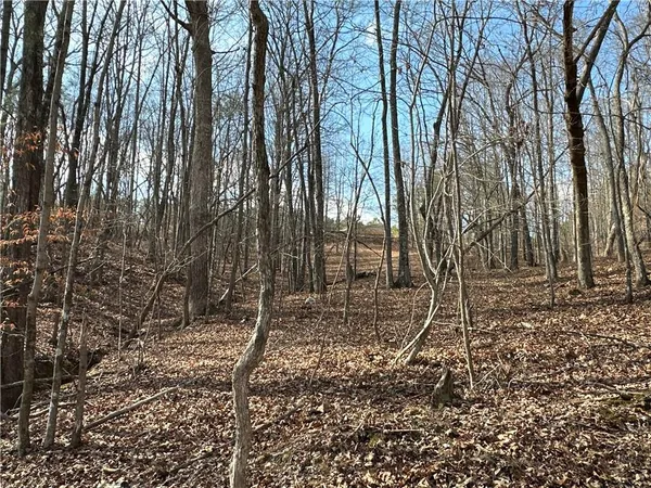 $651,000 | 265 Evans Drive, Buchanan, GA 30113