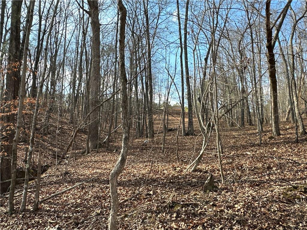 265 Evans Drive Buchanan, GA 30113 - Photo 88 of 123 a backyard of a house with lots of green space