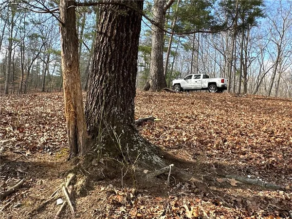 $651,000 | 265 Evans Drive, Buchanan, GA 30113