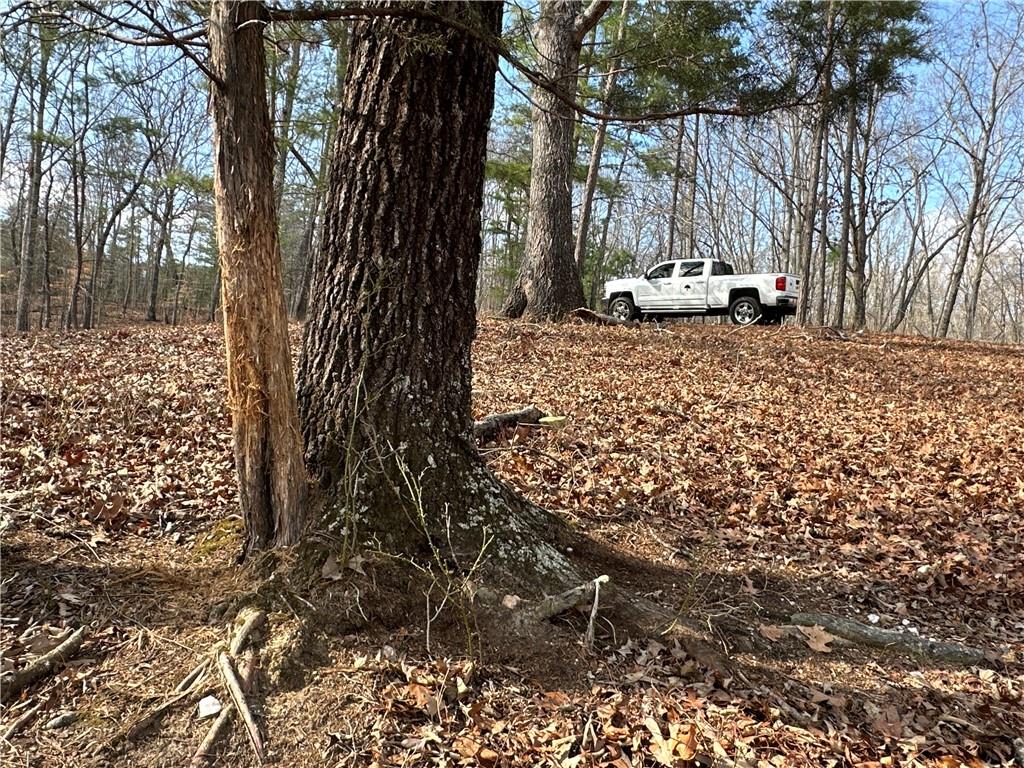 265 Evans Drive Buchanan, GA 30113 - Photo 89 of 123 a view of outdoor space with deck
