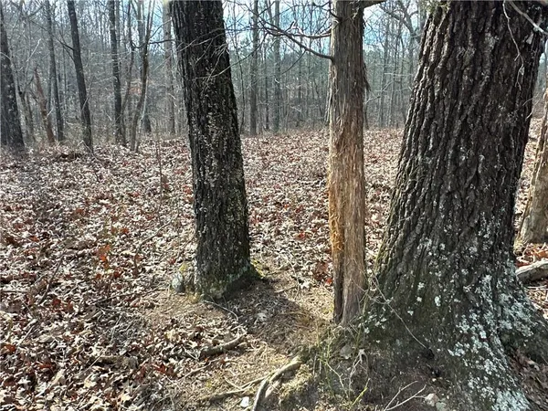 $651,000 | 265 Evans Drive, Buchanan, GA 30113