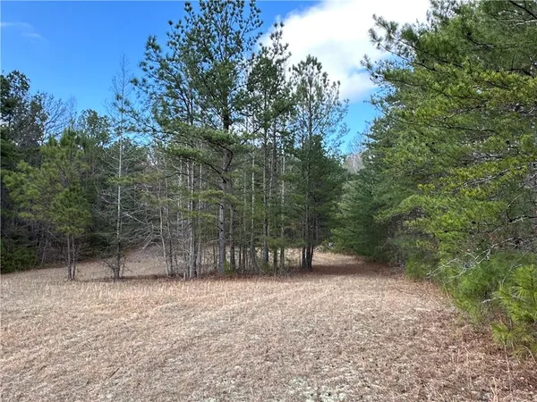 $651,000 | 265 Evans Drive, Buchanan, GA 30113