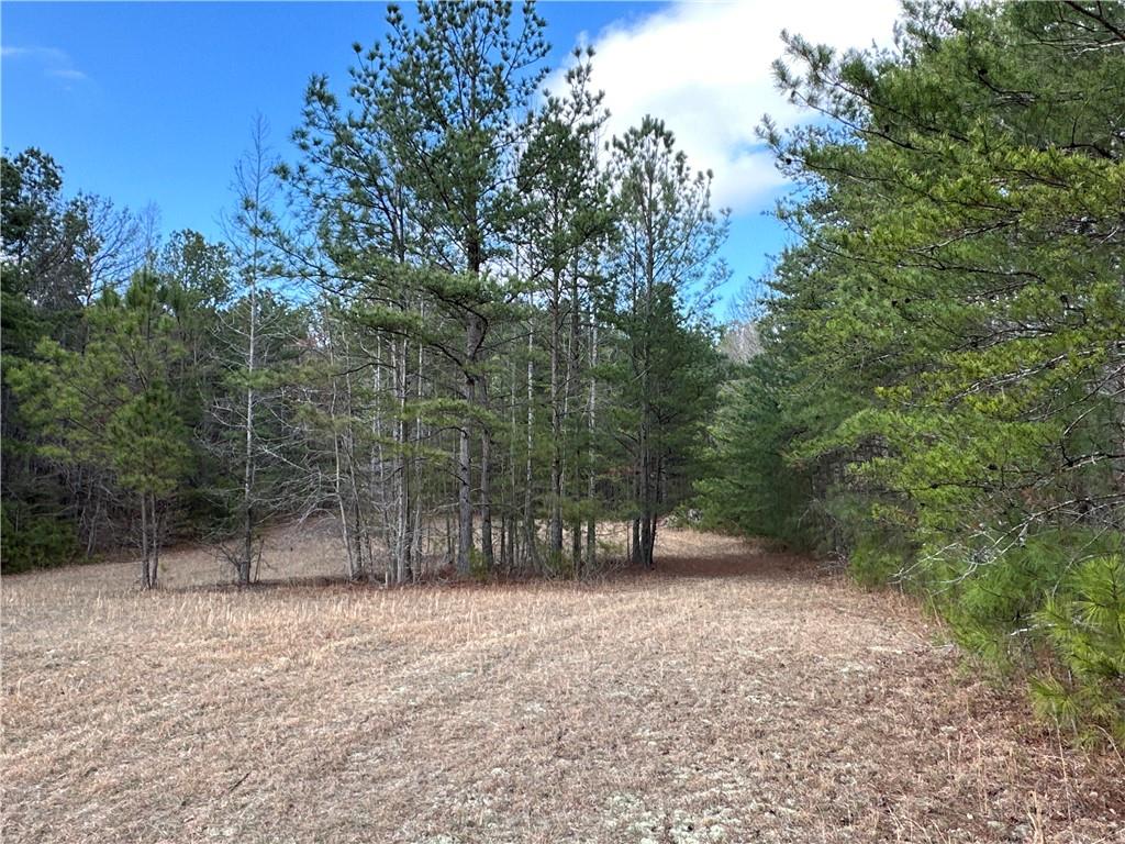 265 Evans Drive Buchanan, GA 30113 - Photo 91 of 123