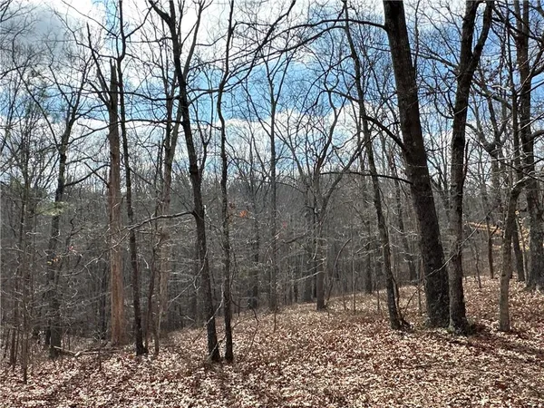 $651,000 | 265 Evans Drive, Buchanan, GA 30113