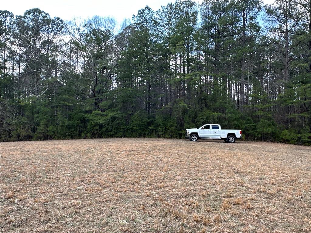 265 Evans Drive Buchanan, GA 30113 - Photo 94 of 123