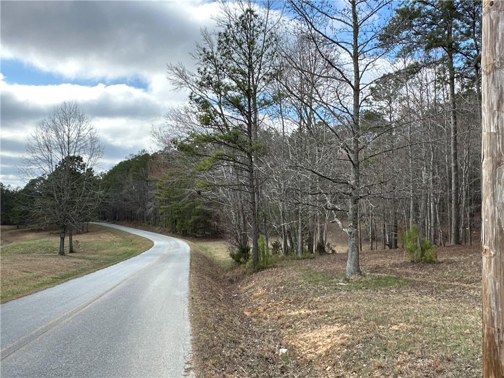 265 Evans Drive Buchanan, GA 30113 - Photo 96 of 123