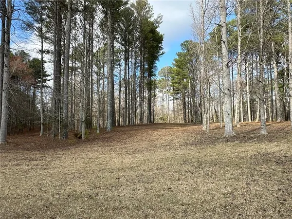 $651,000 | 265 Evans Drive, Buchanan, GA 30113