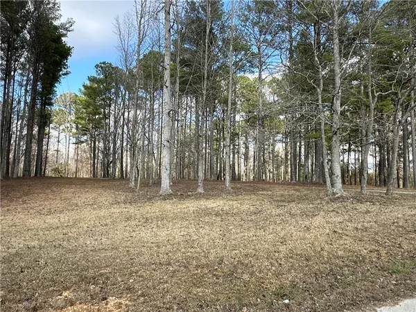 $651,000 | 265 Evans Drive, Buchanan, GA 30113