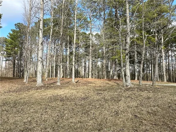 $651,000 | 265 Evans Drive, Buchanan, GA 30113