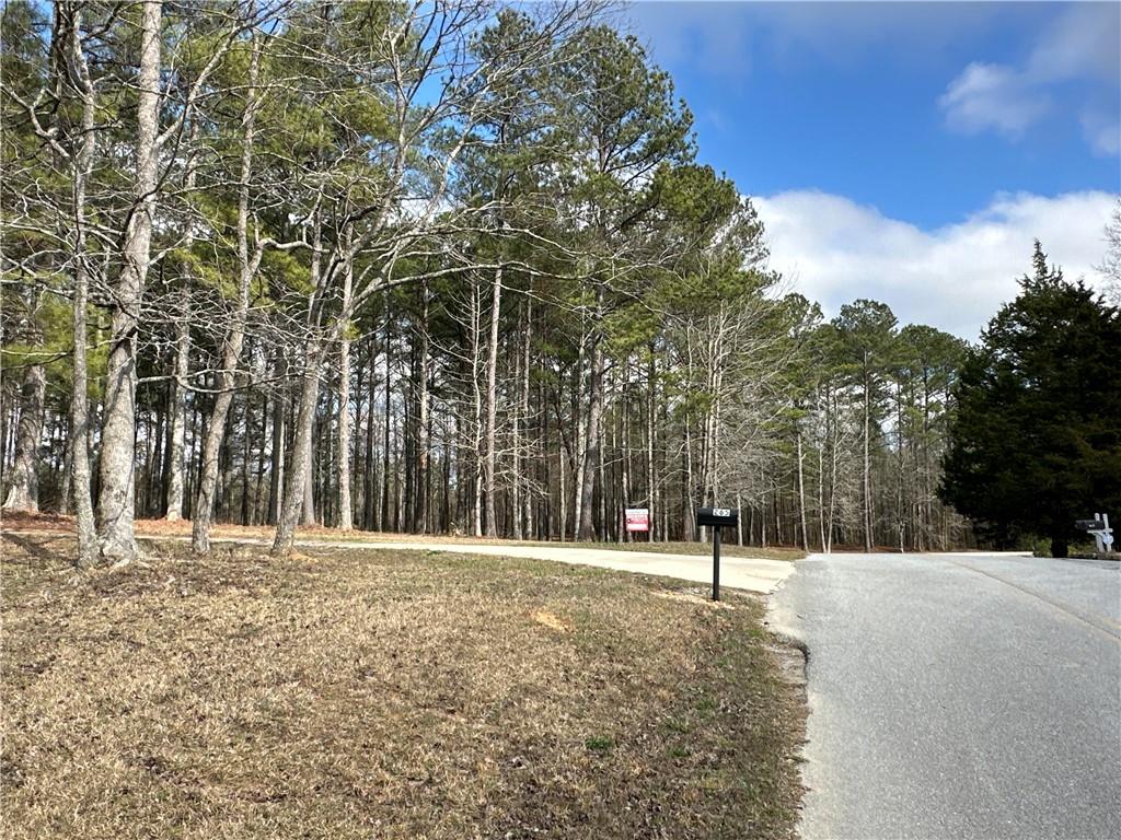 265 Evans Drive Buchanan, GA 30113 - Photo 100 of 123 a view of outdoor space with trees