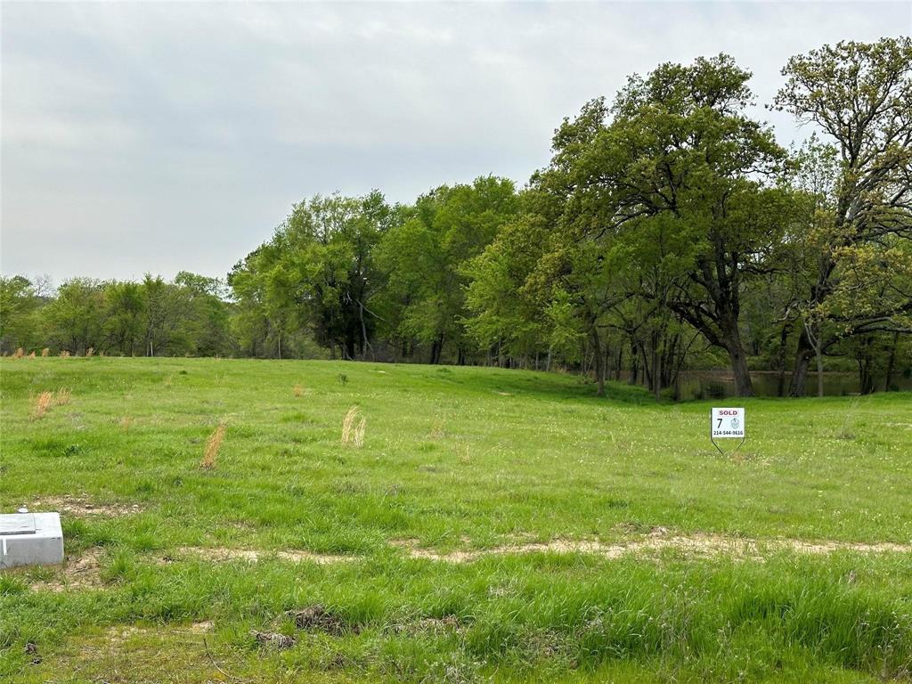Tbd Lot 7 Tbd Drive Emory, TX 75440 - Photo 3 of 13 a backyard of a house with lots of green space