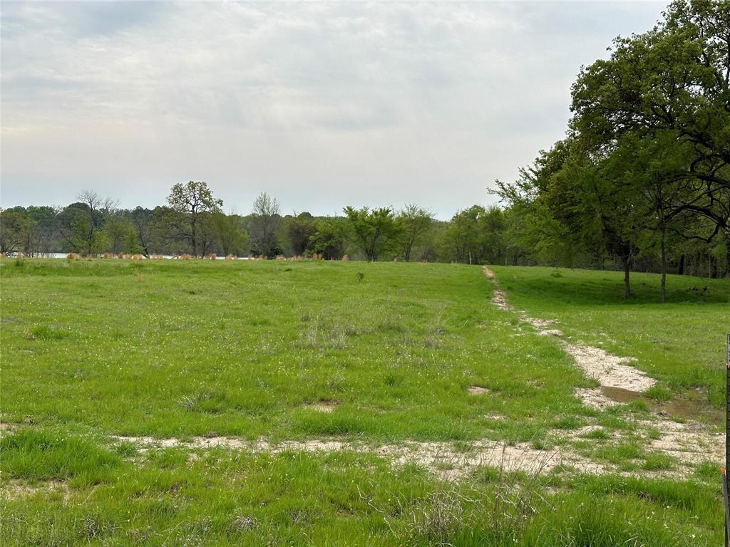 Tbd Lot 7 Tbd Drive Emory, TX 75440 - Photo 4 of 13 a view of field with grass and trees